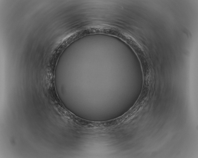 X0000115200822200911121840