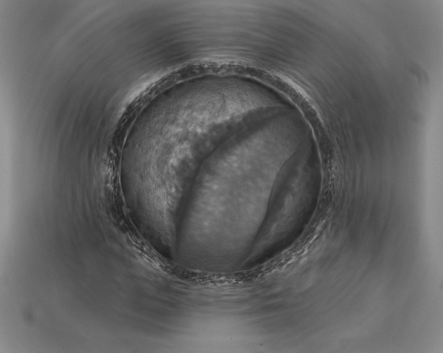 X0000115200823200911121840