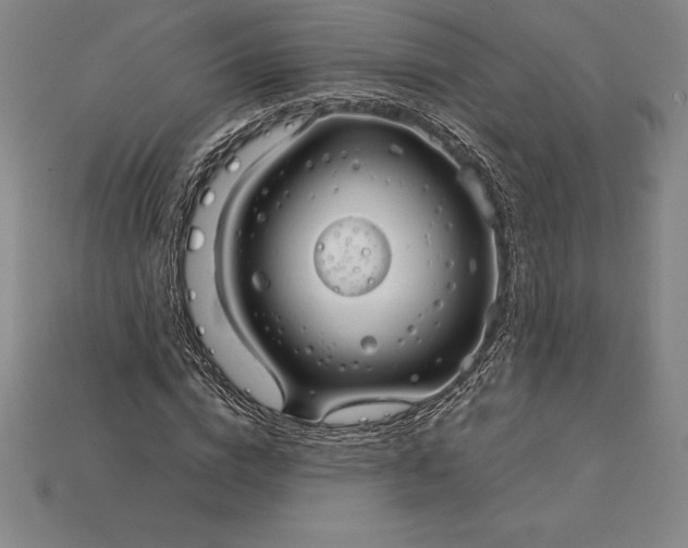 X0000115200824200911121840