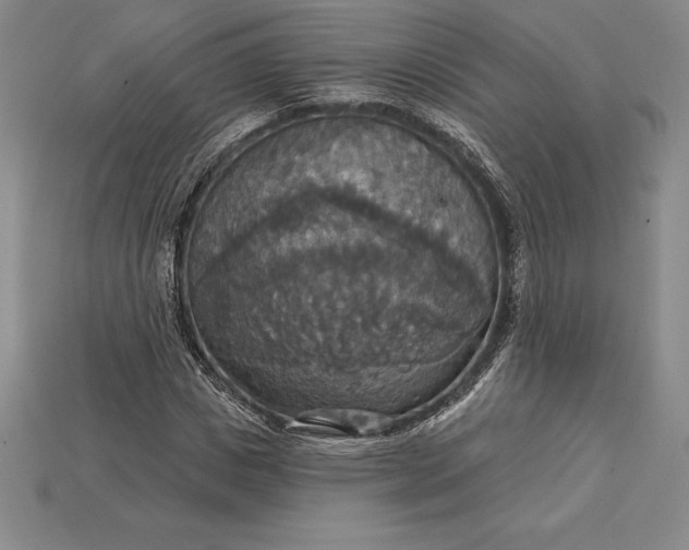 X0000115200825200911121840