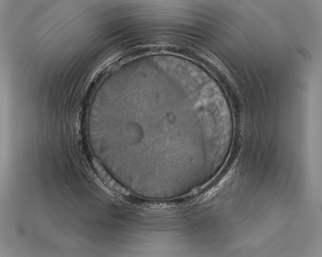 X0000115200826200911121840