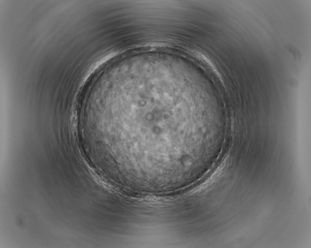 X0000115200827200911121840