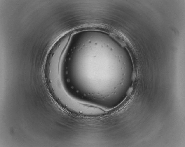 X0000115200828200911121840