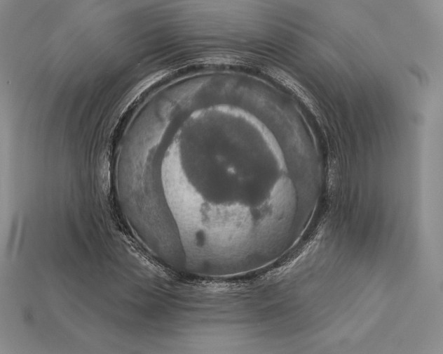 X0000115200829200911121840