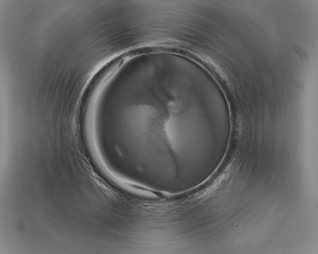 X0000115200830200911121840