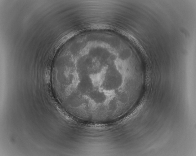 X0000115200833200911121840