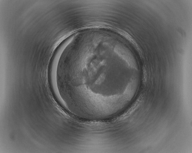 X0000115200834200911121840