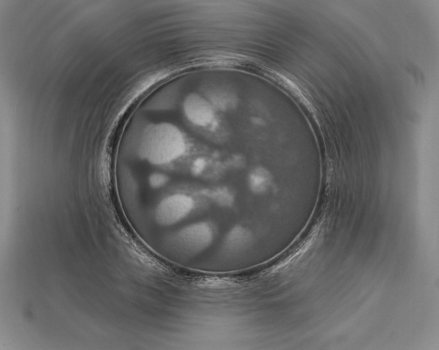X0000115200835200911121840