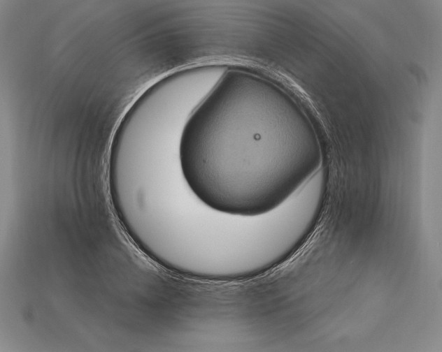 X0000115200836200911121840