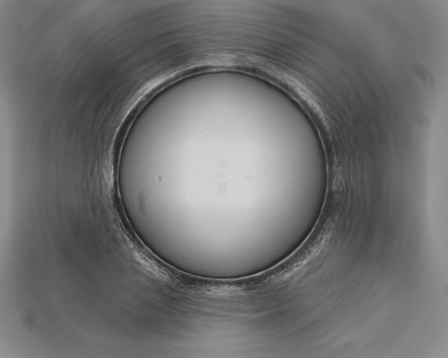 X0000115200837200911121840
