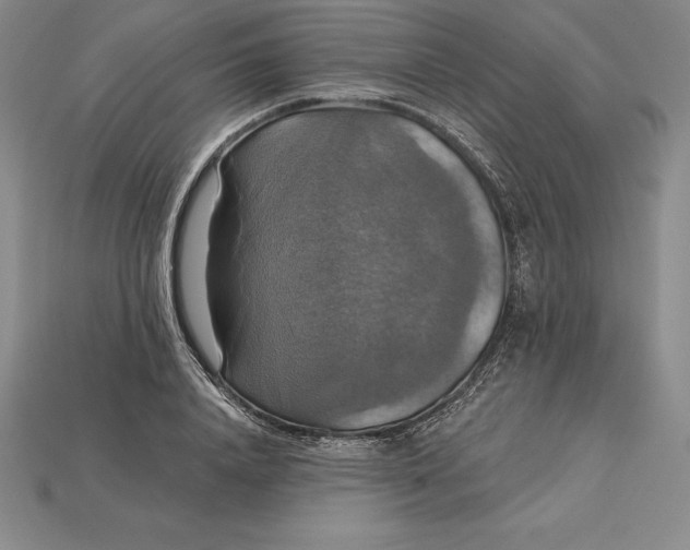 X0000115200840200911121840