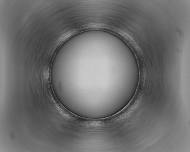 X0000115200841200911121840