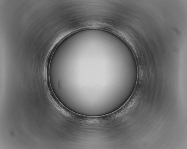 X0000115200843200911121840