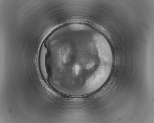 X0000115200844200911121840