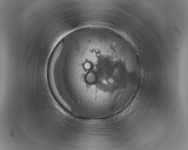 X0000115200846200911121840