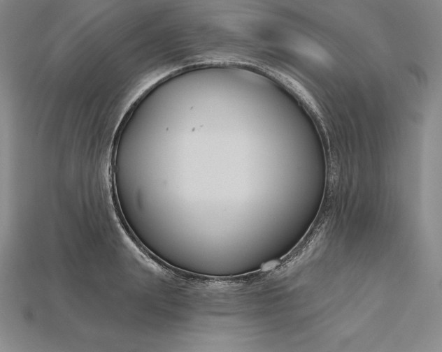 X0000115200847200911121840