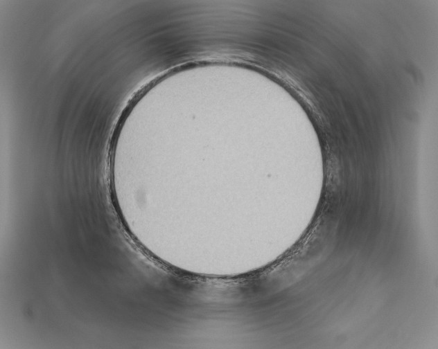 X0000115200848200911121840