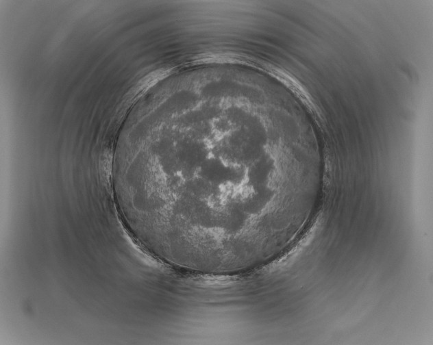 X0000115200849200911121840