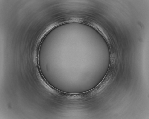 X0000115200851200911121840
