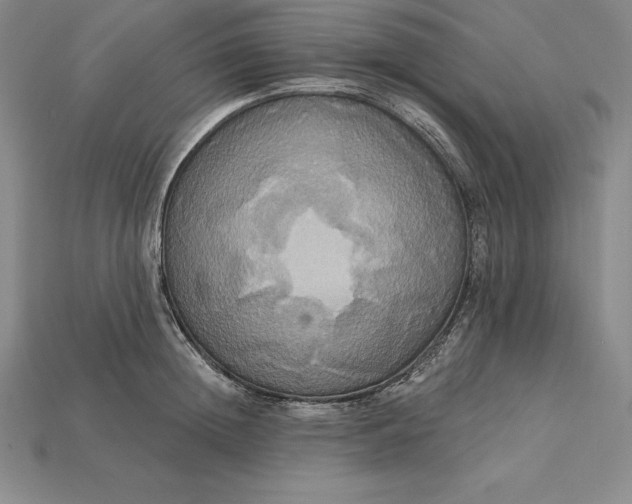 X0000115200852200911121840