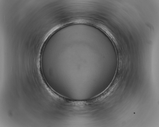 X0000115200853200911121840