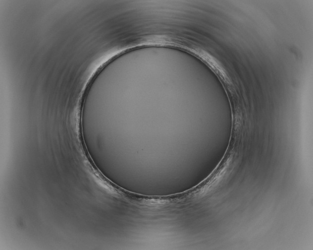 X0000115200854200911121840