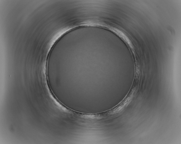 X0000115200855200911121840