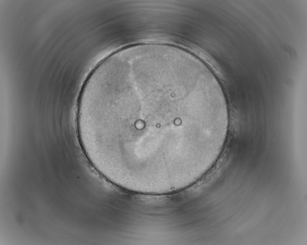 X0000115200856200911121840