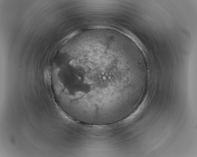 X0000115200857200911121840