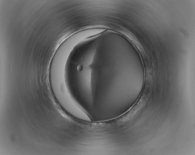 X0000115200858200911121840