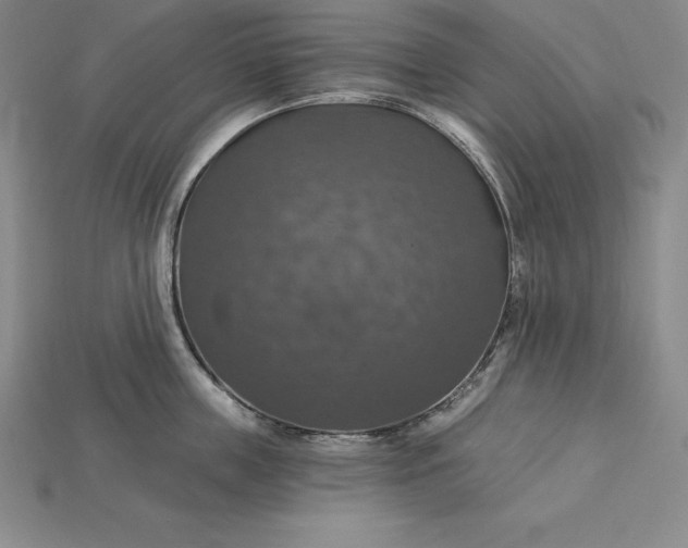 X0000115200859200911121840
