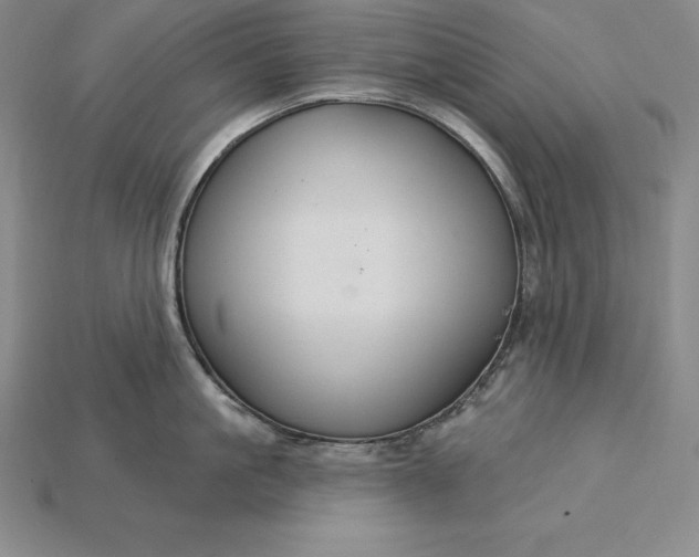 X0000115200861200911121840