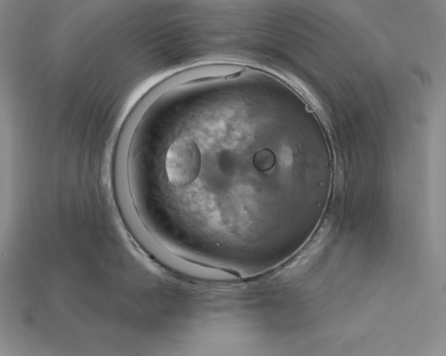 X0000115200862200911121840
