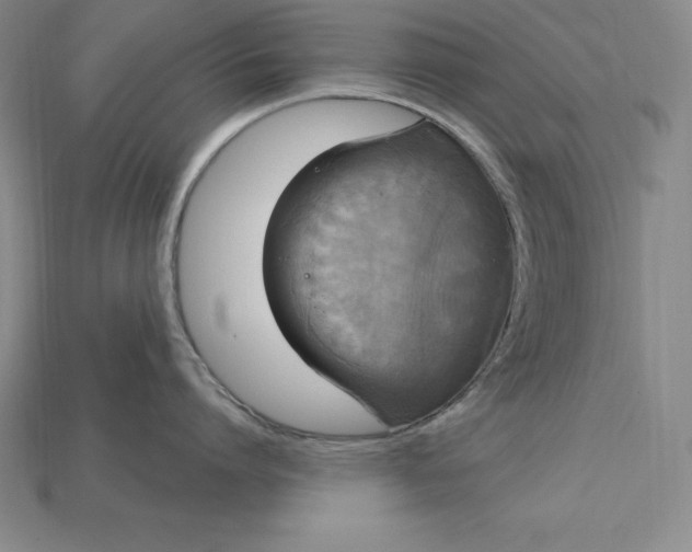 X0000115200864200911121840