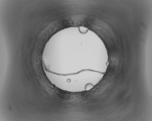 X0000115200865200911121840