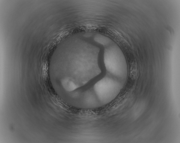 X0000115200866200911121840