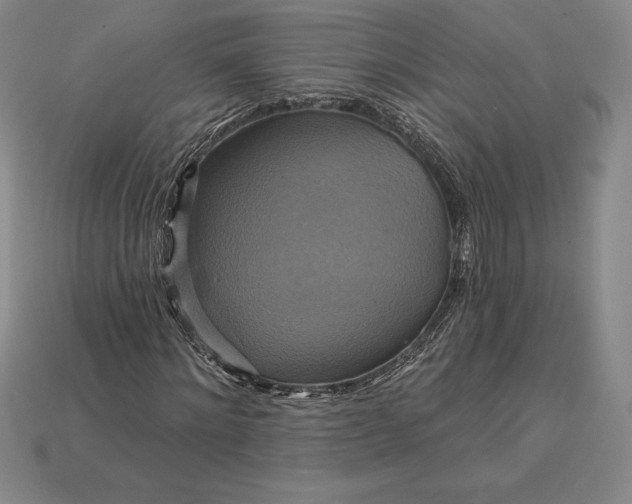 X0000115200868200911121840