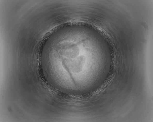 X0000115200870200911121840