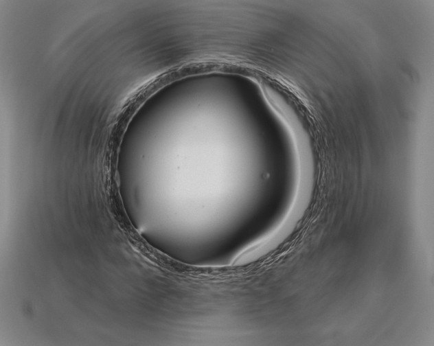X0000115200872200911121840