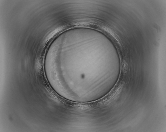 X0000115200874200911121840