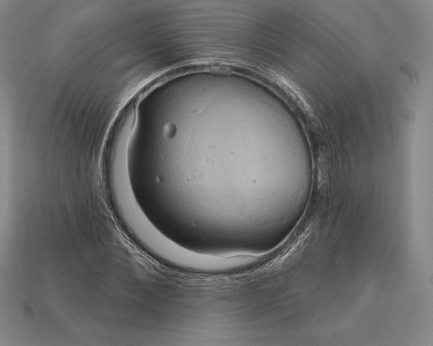 X0000115200876200911121840