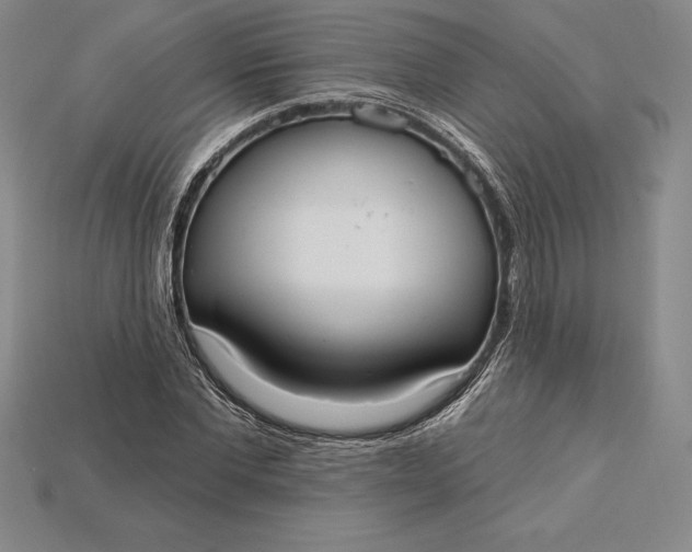 X0000115200877200911121840