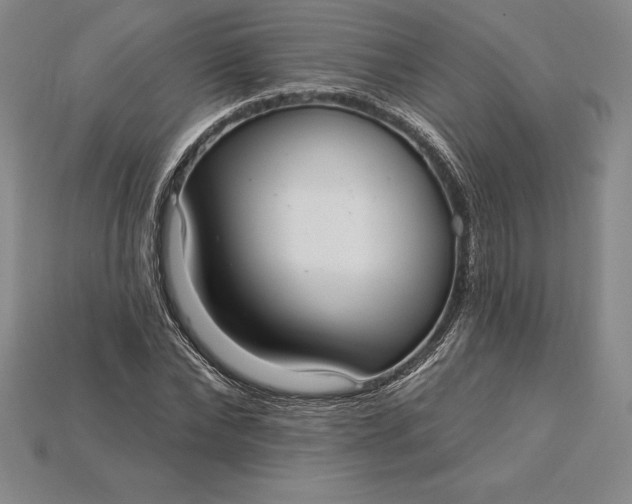 X0000115200878200911121840