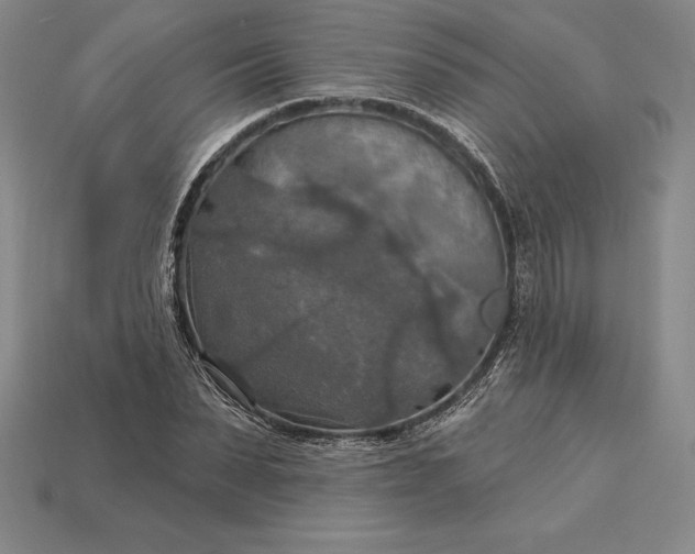 X0000115200879200911121840