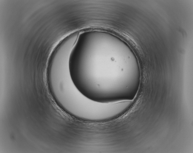 X0000115200880200911121840