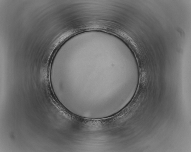 X0000115200882200911121840