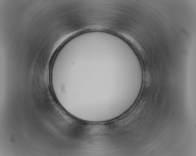 X0000115200886200911121840