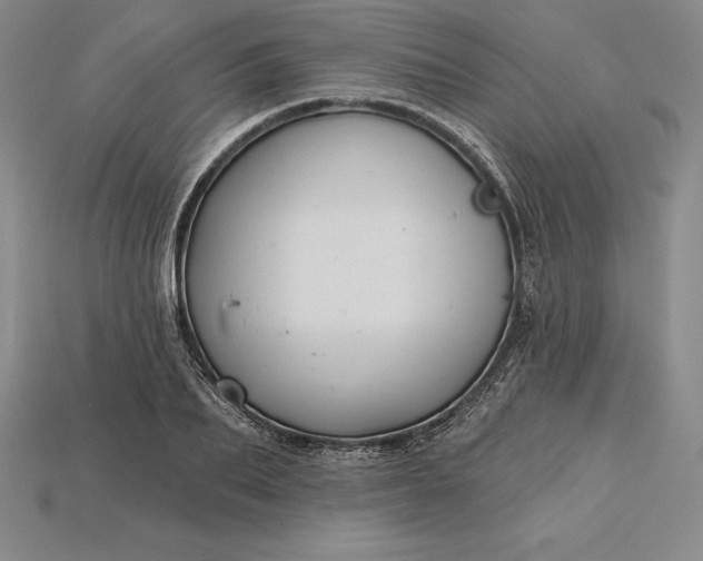 X0000115200887200911121840