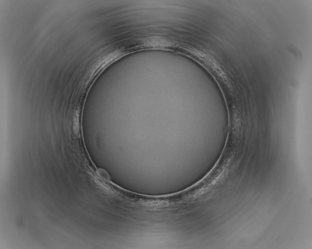 X0000115200889200911121840