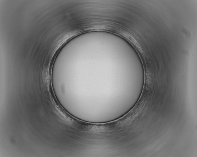 X0000115200890200911121840